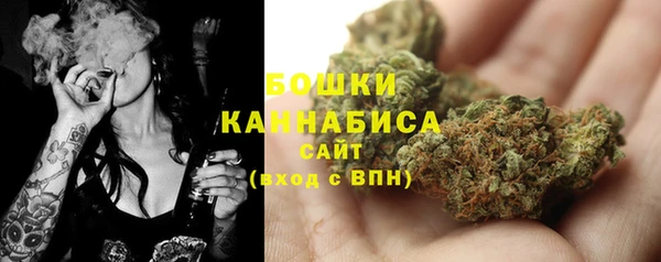 гидра Краснослободск