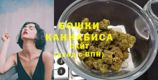 гидра Краснослободск