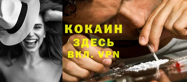 гидра Краснослободск