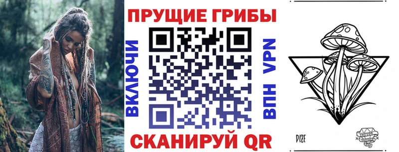 Галлюциногенные грибы Cubensis  Купить  Высоковск 